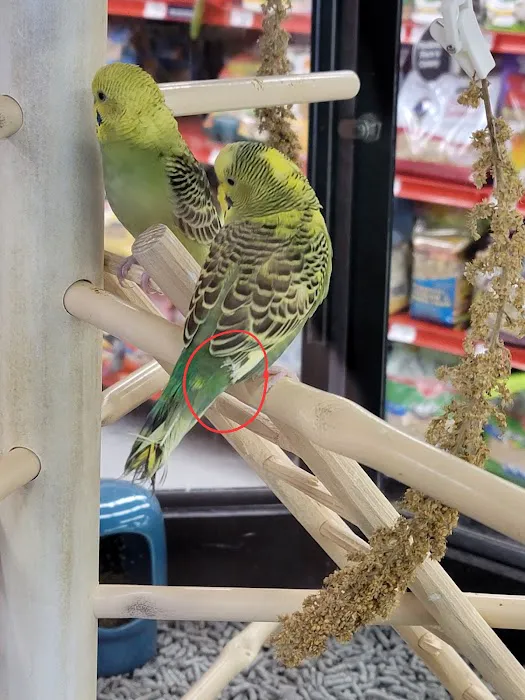 Petco Picture 8