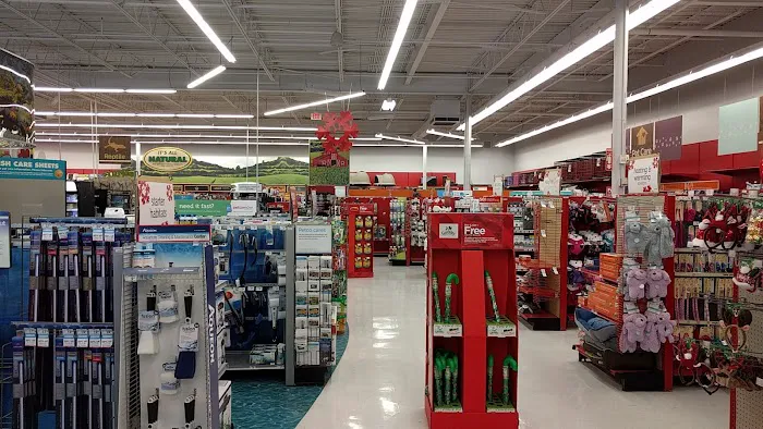 Petco Picture 3