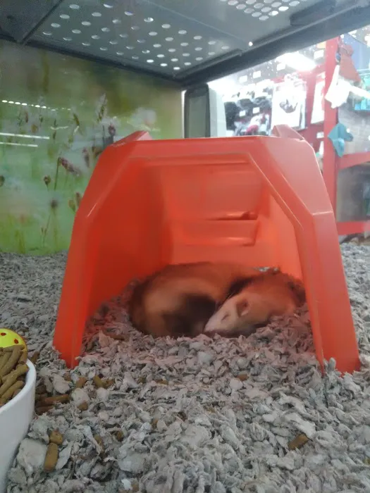 Petco Picture 10