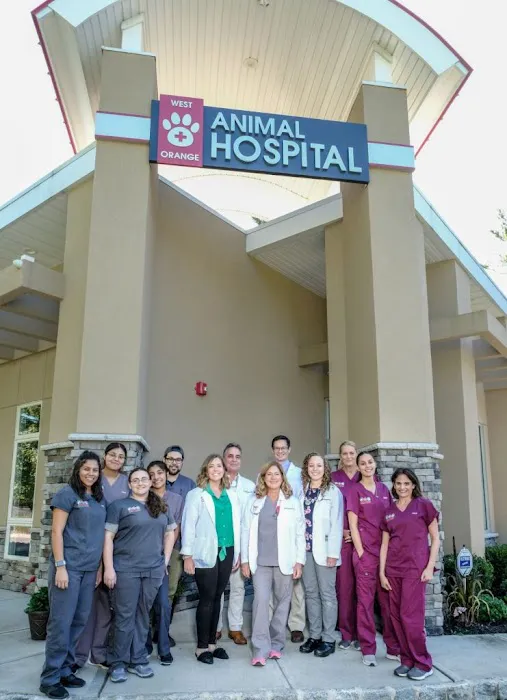 West Orange Animal Hospital Picture 4