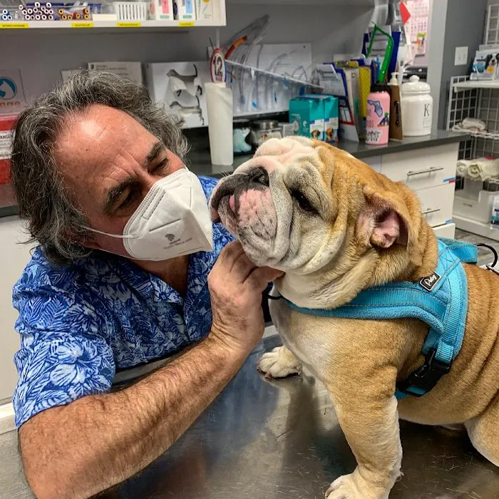 West Orange Animal Hospital Picture 3