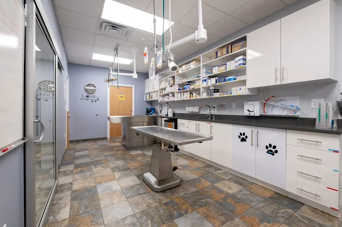 West Orange Animal Hospital Picture 6