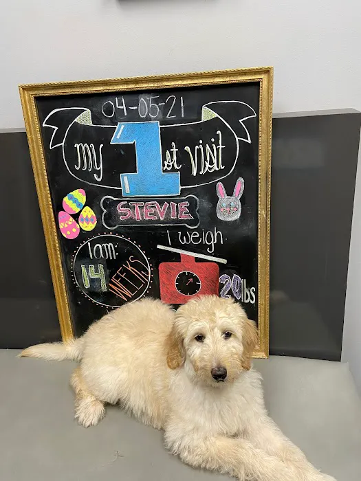 West Orange Animal Hospital Picture 10