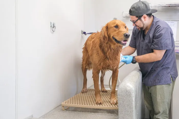 West Orange Animal Hospital Picture 5
