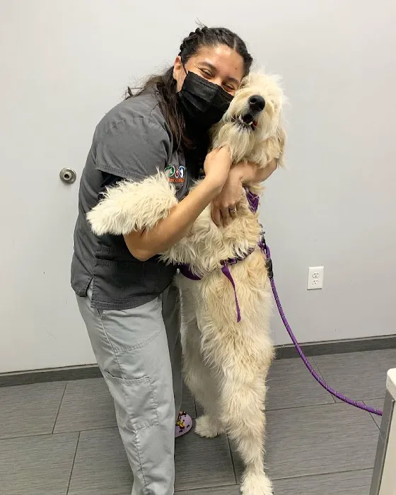 West Orange Animal Hospital Picture 7