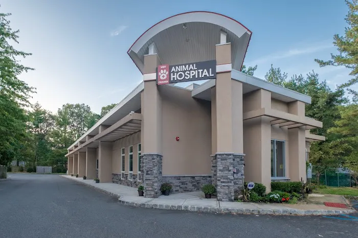 West Orange Animal Hospital Picture 8