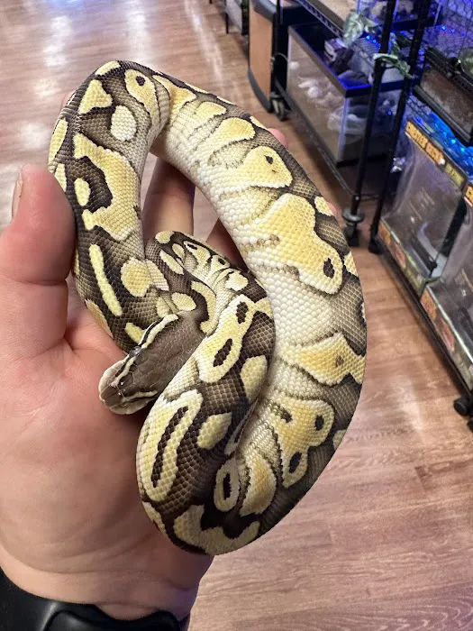 Back Road Reptiles and Exotics Picture 3