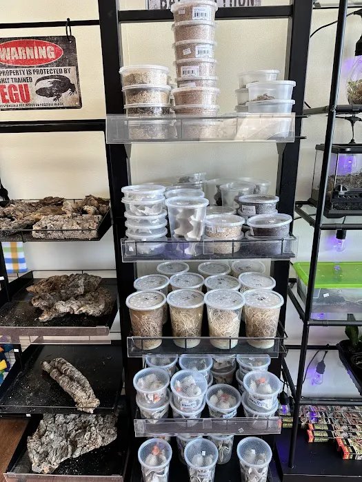 Back Road Reptiles and Exotics Picture 7