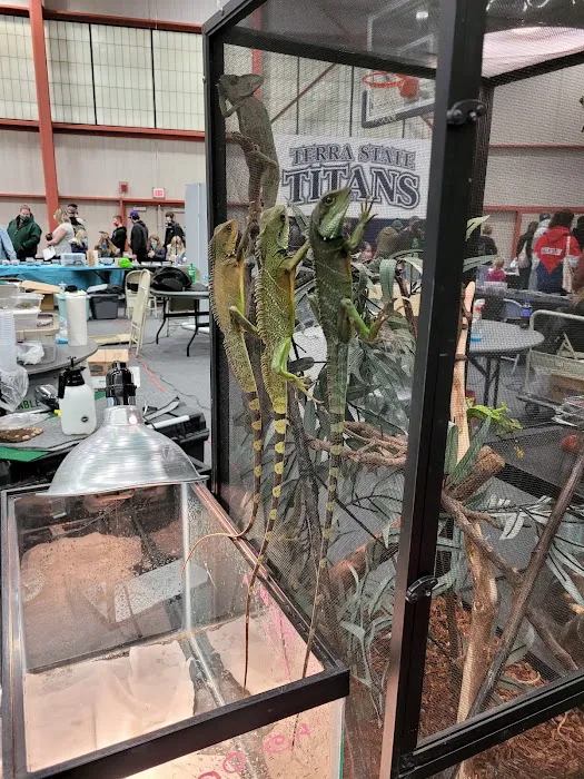 BRM EXOTICS EXPO Picture 5