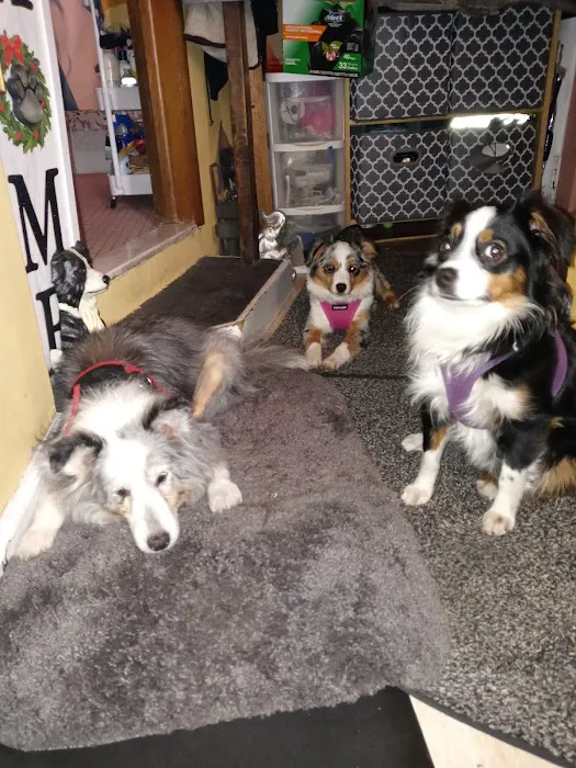 East Orange Animal Hospital Picture 2