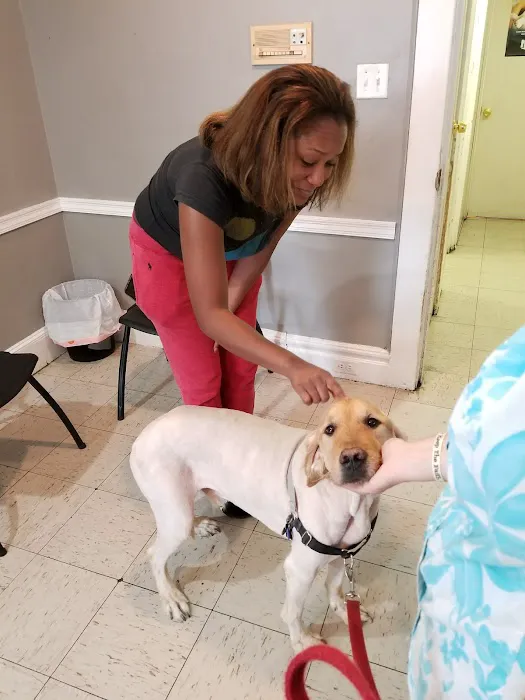 East Orange Animal Hospital Picture 4