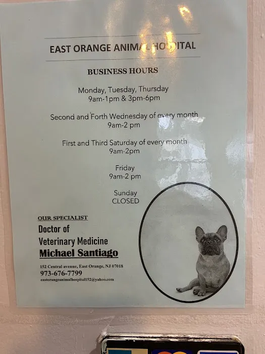 East Orange Animal Hospital Picture 5