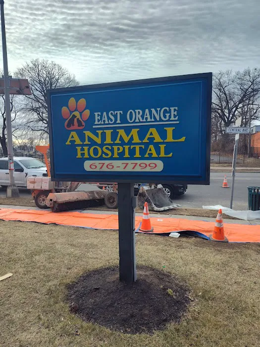 East Orange Animal Hospital Picture 8