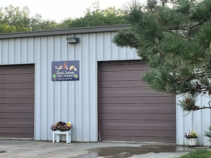 Black Swamp Koi Farms Picture 4