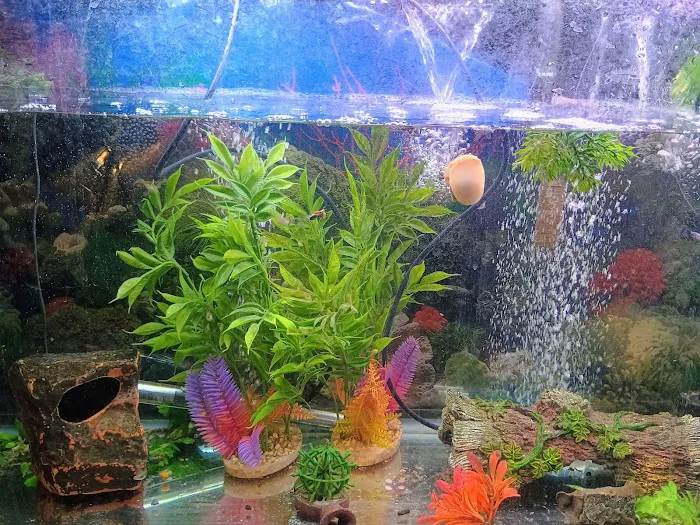 Fremont Aquatic Mystery Picture 2