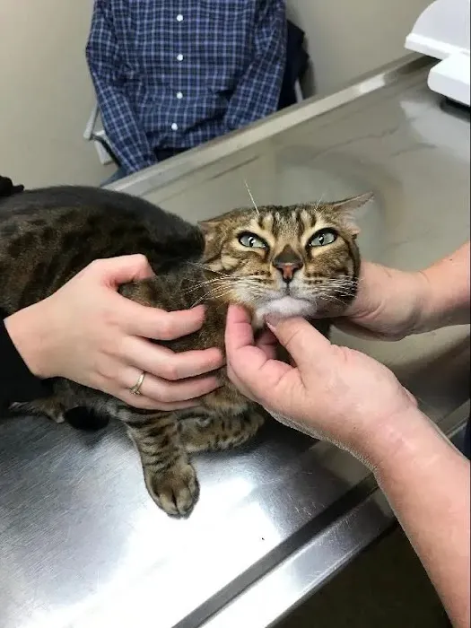 Prospect Ridge Veterinary Picture 5