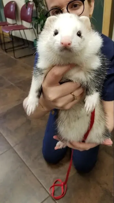 Prospect Ridge Veterinary Picture 4