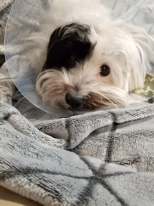Prospect Ridge Veterinary Picture 7