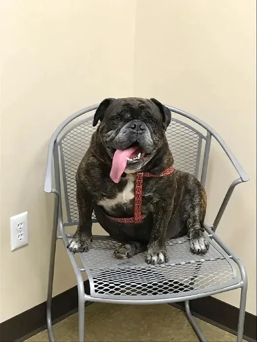 Prospect Ridge Veterinary Picture 9