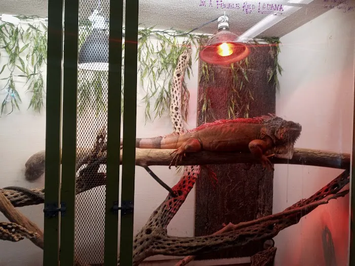 Wet Pets-N-Pals LLC Picture 3