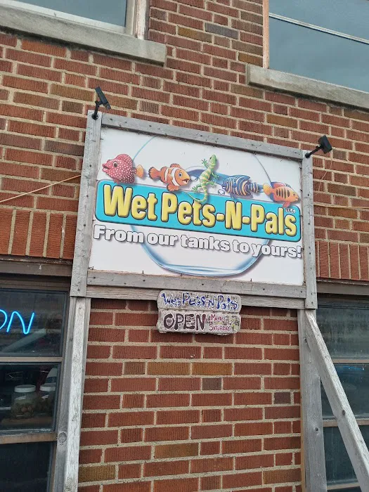Wet Pets-N-Pals LLC Picture 2