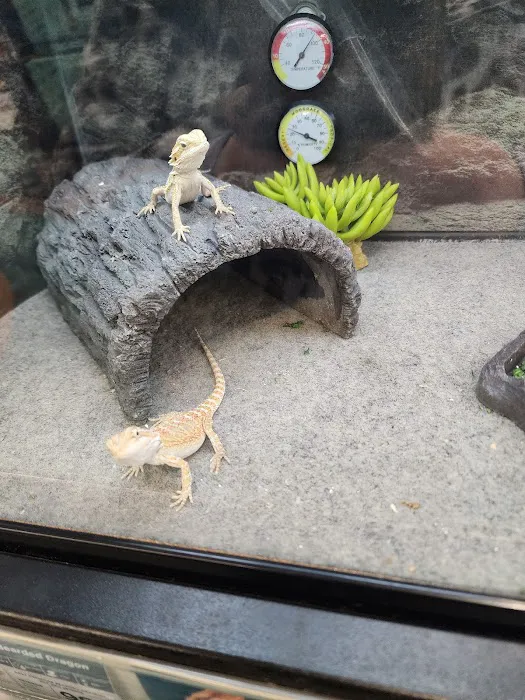 Petco Picture 8