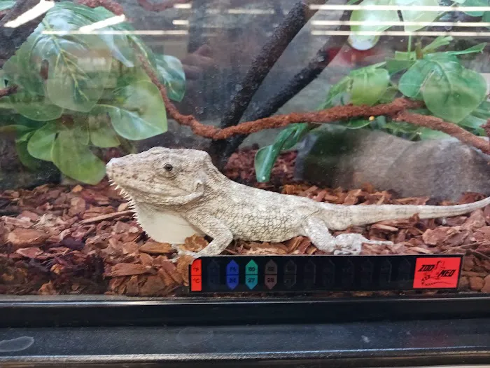 Petco Picture 4