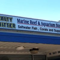 Salty Critter ico