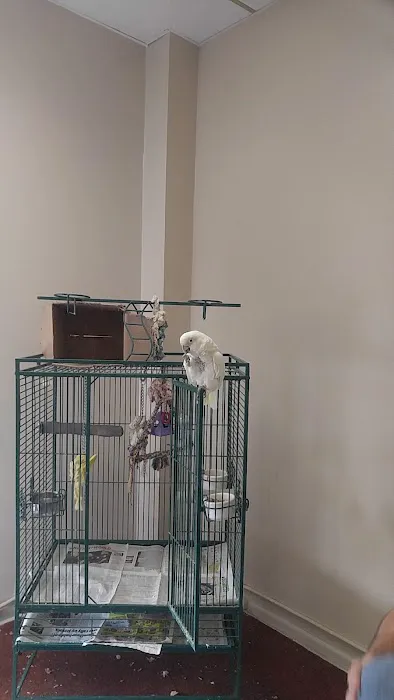 Pet Depot Picture 2