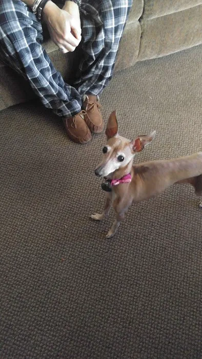 Pet Depot Picture 5