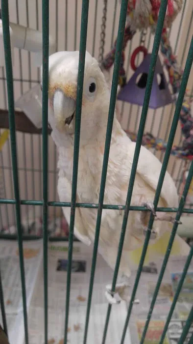 Pet Depot Picture 3