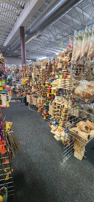 The Bird Loft Picture 6