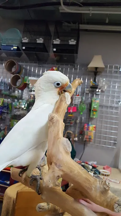 The Bird Loft Picture 4