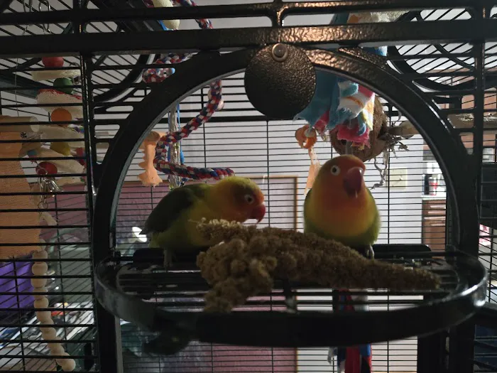 The Bird Loft Picture 2