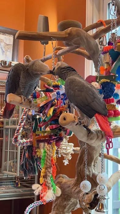The Bird Loft Picture 9