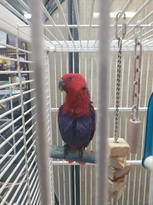 The Bird Loft Picture 7