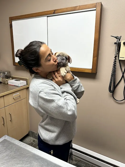 South County Veterinary Hospital Picture 8