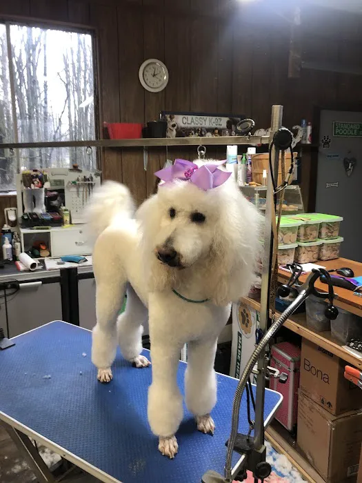 Dunkin' Doggies LLC Pet Bakery Picture 3