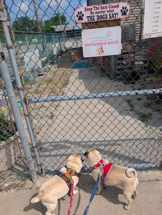 Dunkin' Doggies LLC Pet Bakery Picture 4