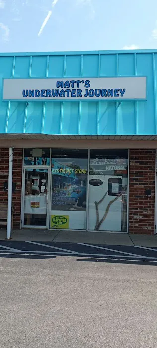 Ash Hill Reptiles / Matt's Underwater Journey Picture 2