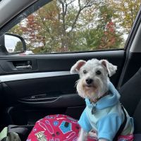 Washington County Vet Hospital ico