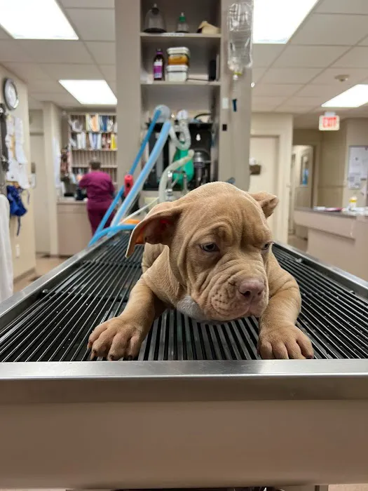 Washington County Vet Hospital Picture 4