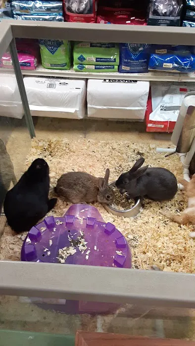 Best In Pets Picture 2
