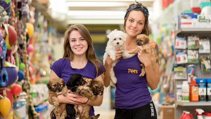 Best In Pets Picture 3