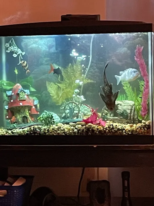Petco Picture 6