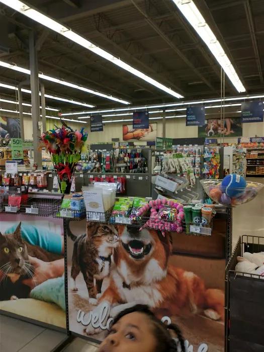 Petco Picture 4
