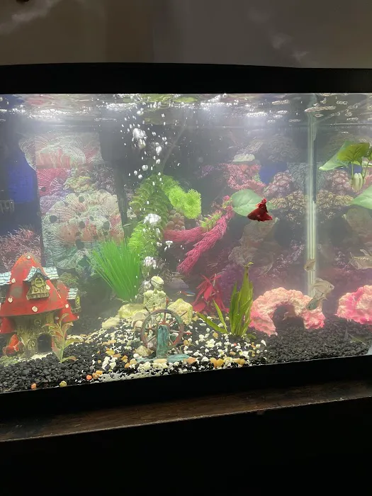 Petco Picture 8