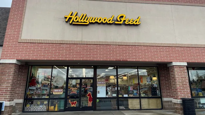 Hollywood Feed Picture 6