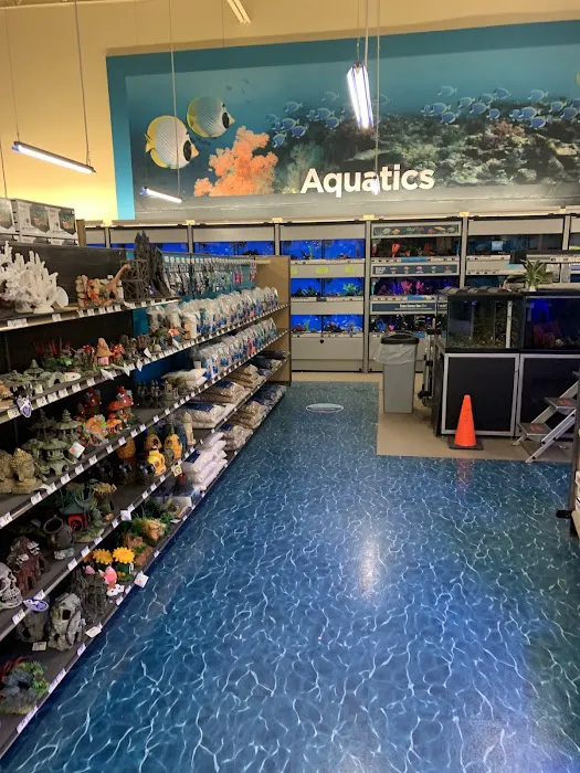 Petco Picture 1