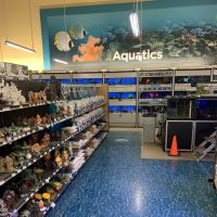 Petco ico